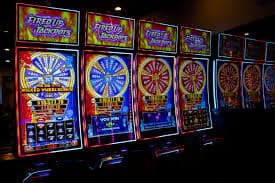 privacy and responsible gaming guidance for pokok live casino users